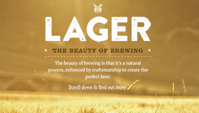 Heineken, Beauty of Brewing